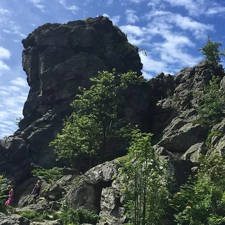 Lejlighed Top-locatie-winterberg-centrum-appartement-maximaal 6 Personen *