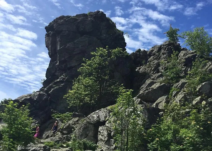 דירה Top-locatie-winterberg-centrum-appartement-maximaal 6 Personen *